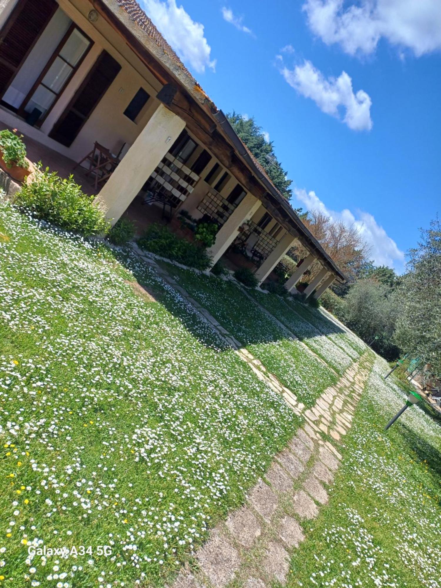Agriturismo Bio Pian Dei Casali Saturnia Exterior foto