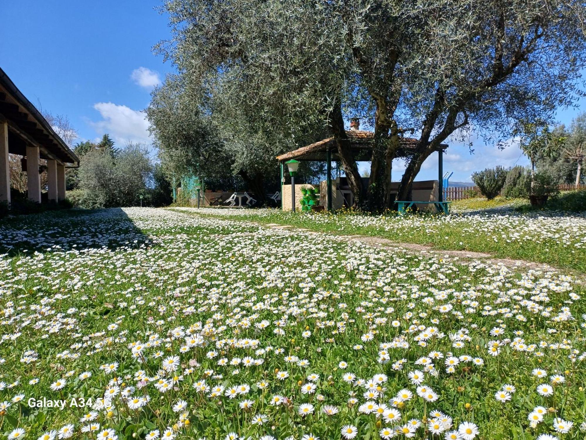 Agriturismo Bio Pian Dei Casali Saturnia Exterior foto